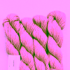 Rosé 303